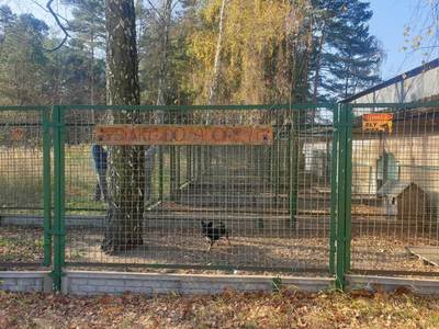 Alt="Zdjęcie przedstawia zakończenie akcji Otwórz serducho dla zwierza w Sierakowie Śląskim."