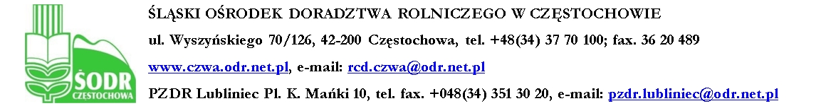 pzdr.jpg