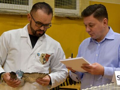 Alt="Zdjęcie z 48 Wystawy Gołębi Pocztowych w Ciasnej, autor: Radosław Gruca."