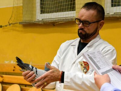 Alt="Zdjęcie z 48 Wystawy Gołębi Pocztowych w Ciasnej, autor: Radosław Gruca."