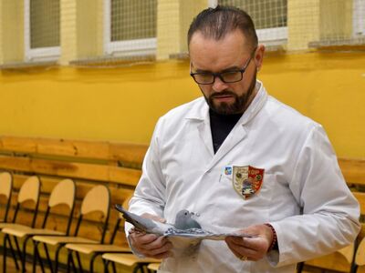 Alt="Zdjęcie z 48 Wystawy Gołębi Pocztowych w Ciasnej, autor: Radosław Gruca."
