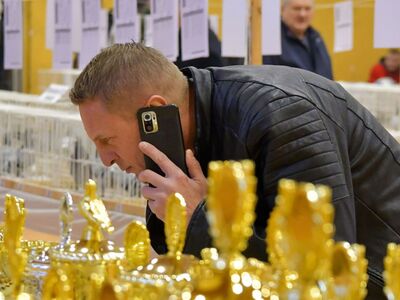 Alt="Zdjęcie z 48 Wystawy Gołębi Pocztowych w Ciasnej, autor: Radosław Gruca."