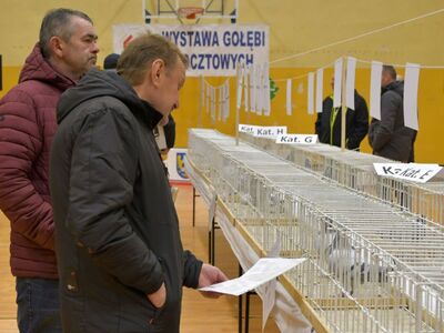 Alt="Zdjęcie z 48 Wystawy Gołębi Pocztowych w Ciasnej, autor: Radosław Gruca."