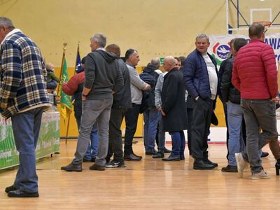 Alt="Zdjęcie z 48 Wystawy Gołębi Pocztowych w Ciasnej, autor: Radosław Gruca."