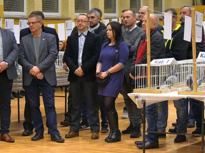 Alt="Zdjęcie z 48 Wystawy Gołębi Pocztowych w Ciasnej, autor: Radosław Gruca."