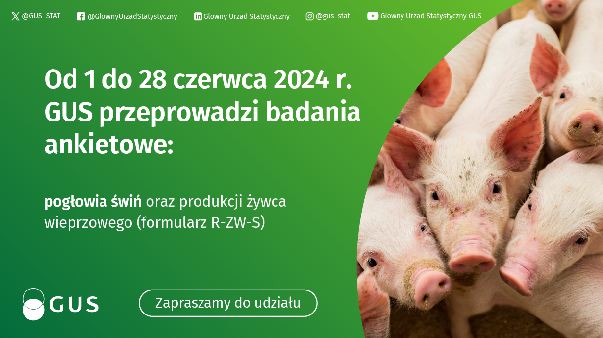 Alt="Plakat dotyczący badania GUS "Badanie pogłowia świń oraz produkcji żywca wieprzowego"."