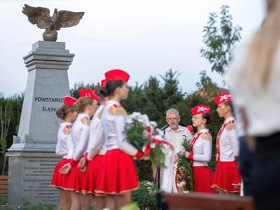 Alt="Zdjęcie przedstawia odsłonięcie Pomnika Wolności w Glinicy."