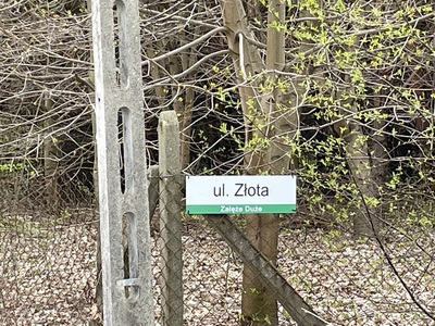 Sprzątanie w Załężu Dużym
