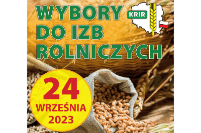 Wybory MIR 2023