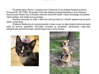 Informacja o fundacji