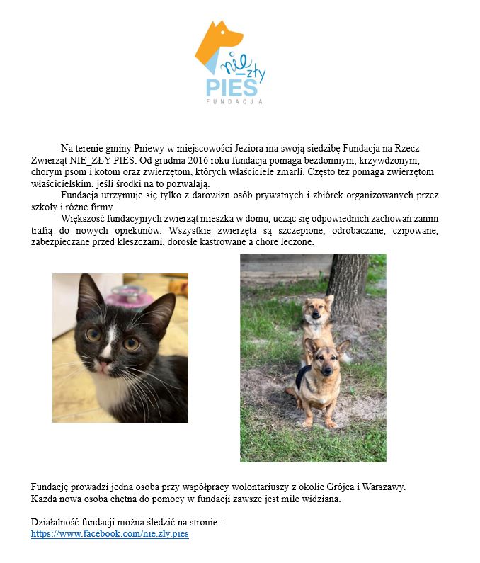 Informacja o fundacji