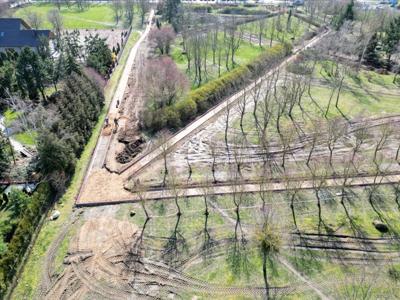Zdjęcia z lotu ptaka przy przedstawiają park z rozpoczętymi pracami przy użyciu koparki. Na zdjęciach widać trawniki alejki drzewa i krzewy.