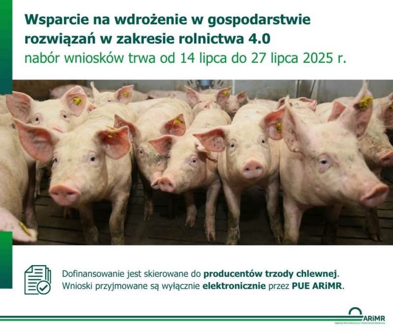 Plakat promujący progam wsparcia. Krótki opis, plus zdjęcie świń,