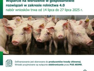 Plakat promujący progam wsparcia. Krótki opis, plus zdjęcie świń,