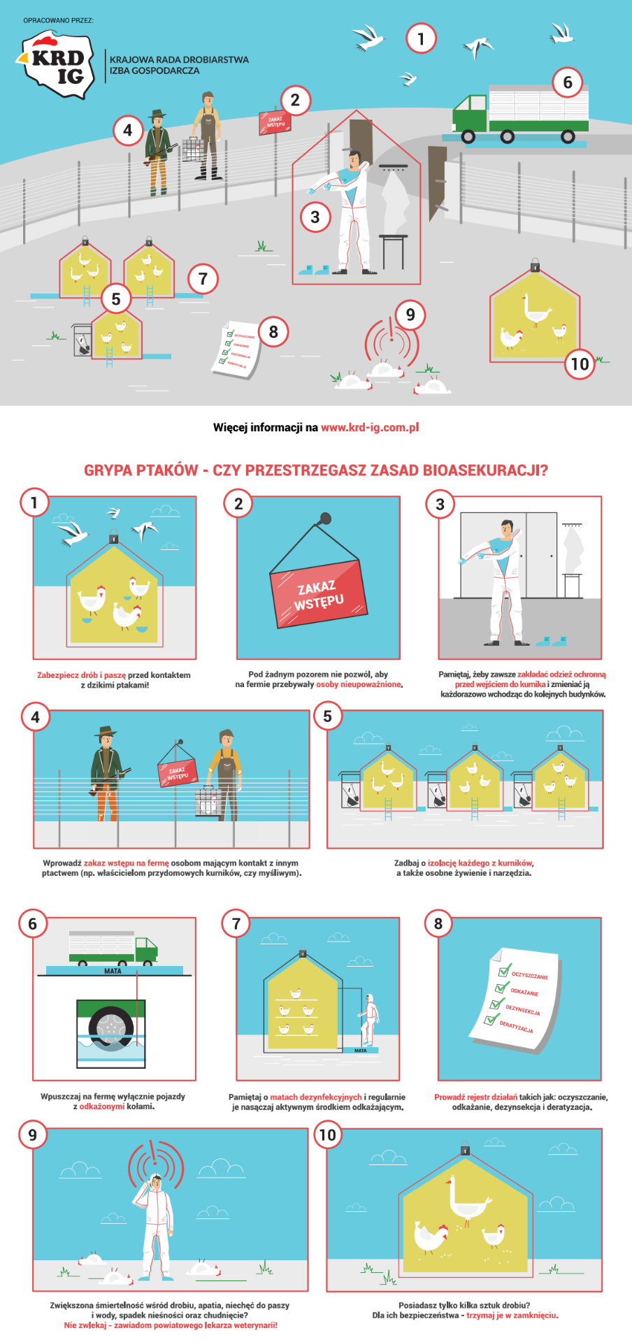 Plakat dotyczący zasad bioasekuracji przy grypie ptaków