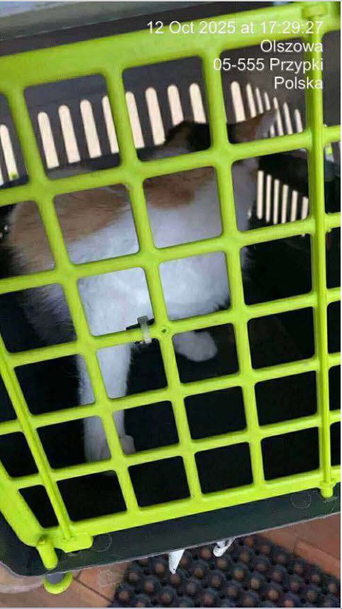 zrzut_ekranu_20251118_091815.jpg [499x889]