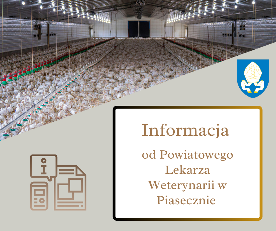 informacja 