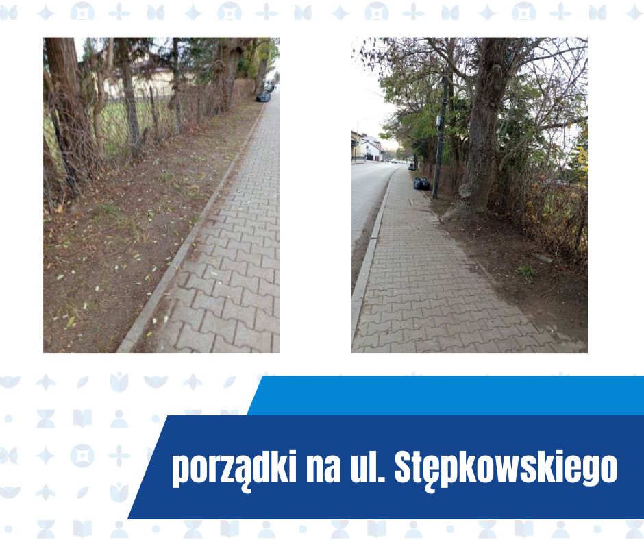 prace porządkowe Stępkowskiego