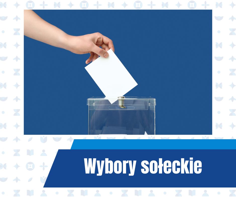 Wybory sołeckie