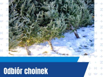 odbiór choinek