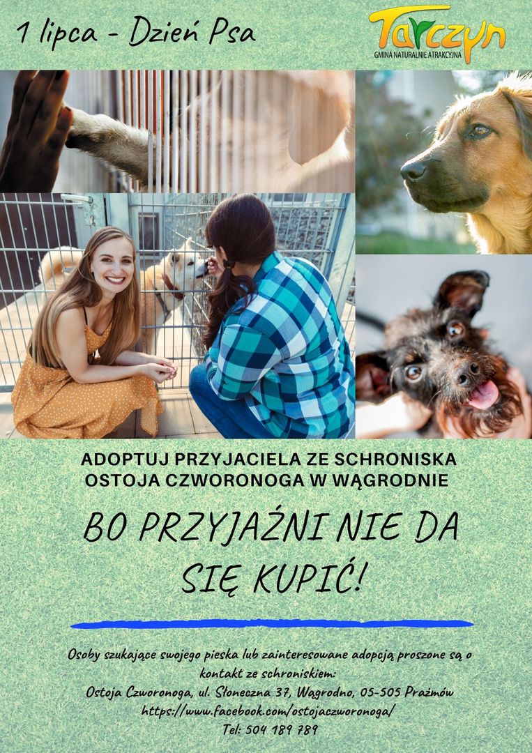 Plakat promujący adopcję zwierząt
