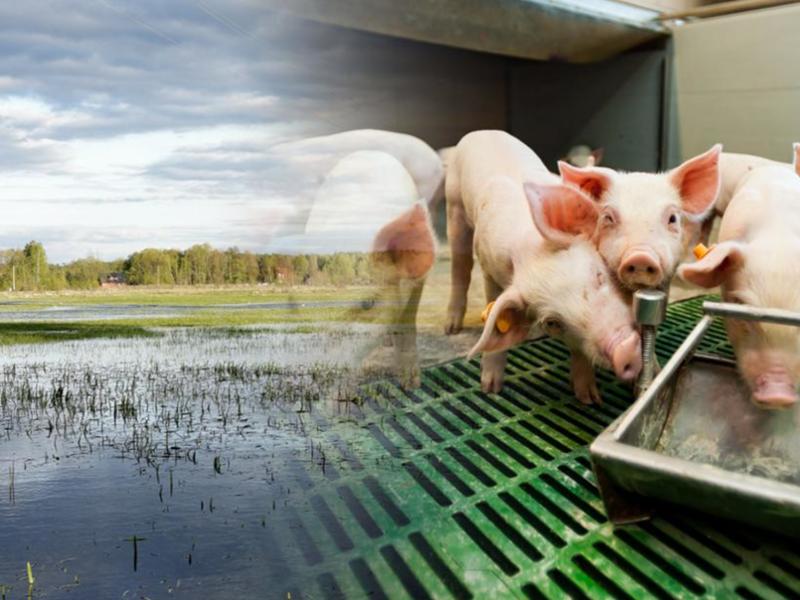 Inwestycje zapobiegające zniszczeniu potencjału produkcji rolnej - złóż wniosek o pomoc