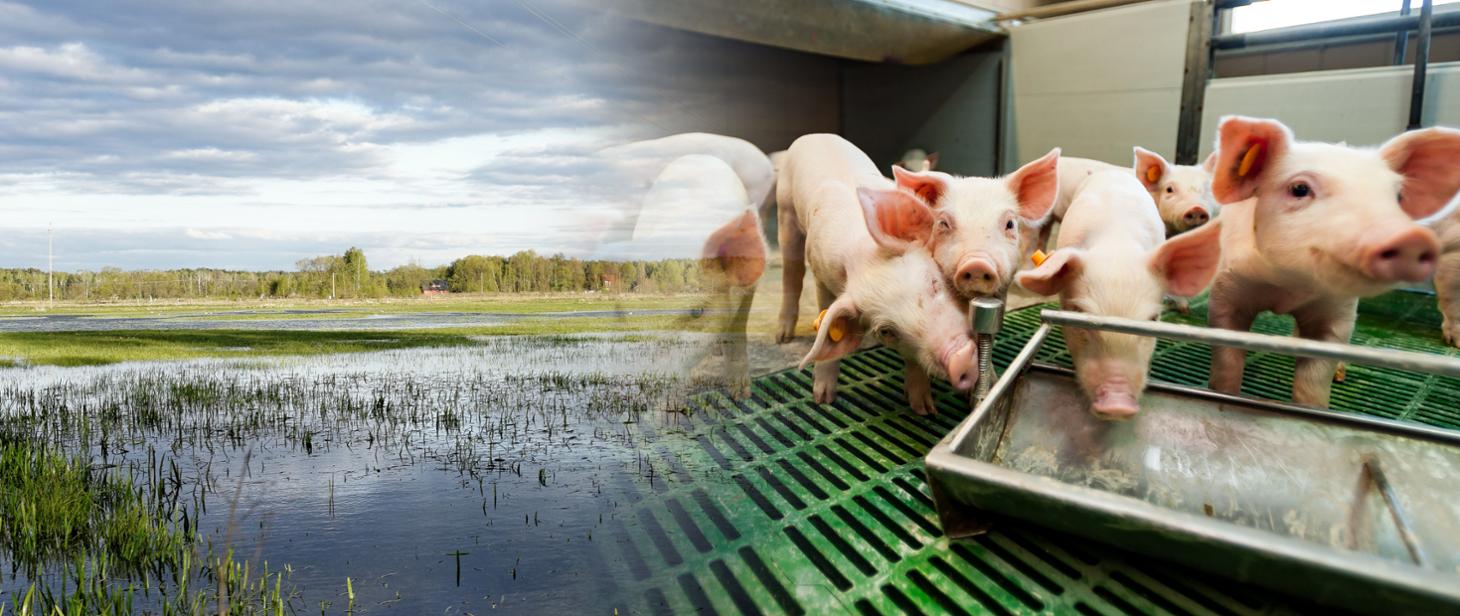 Inwestycje zapobiegające zniszczeniu potencjału produkcji rolnej - złóż wniosek o pomoc