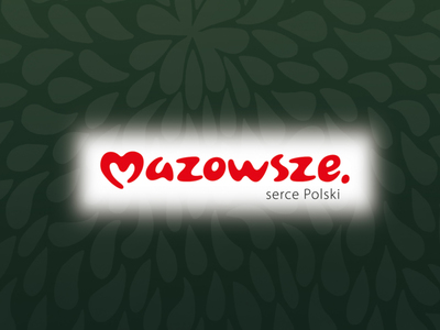 informacja o współfinansowaniu