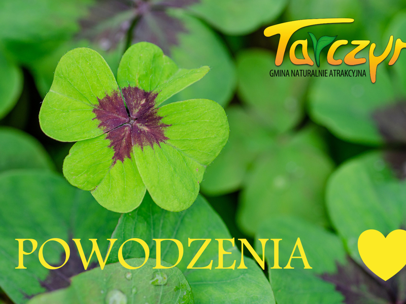 Baner - powodzenia maturzyści