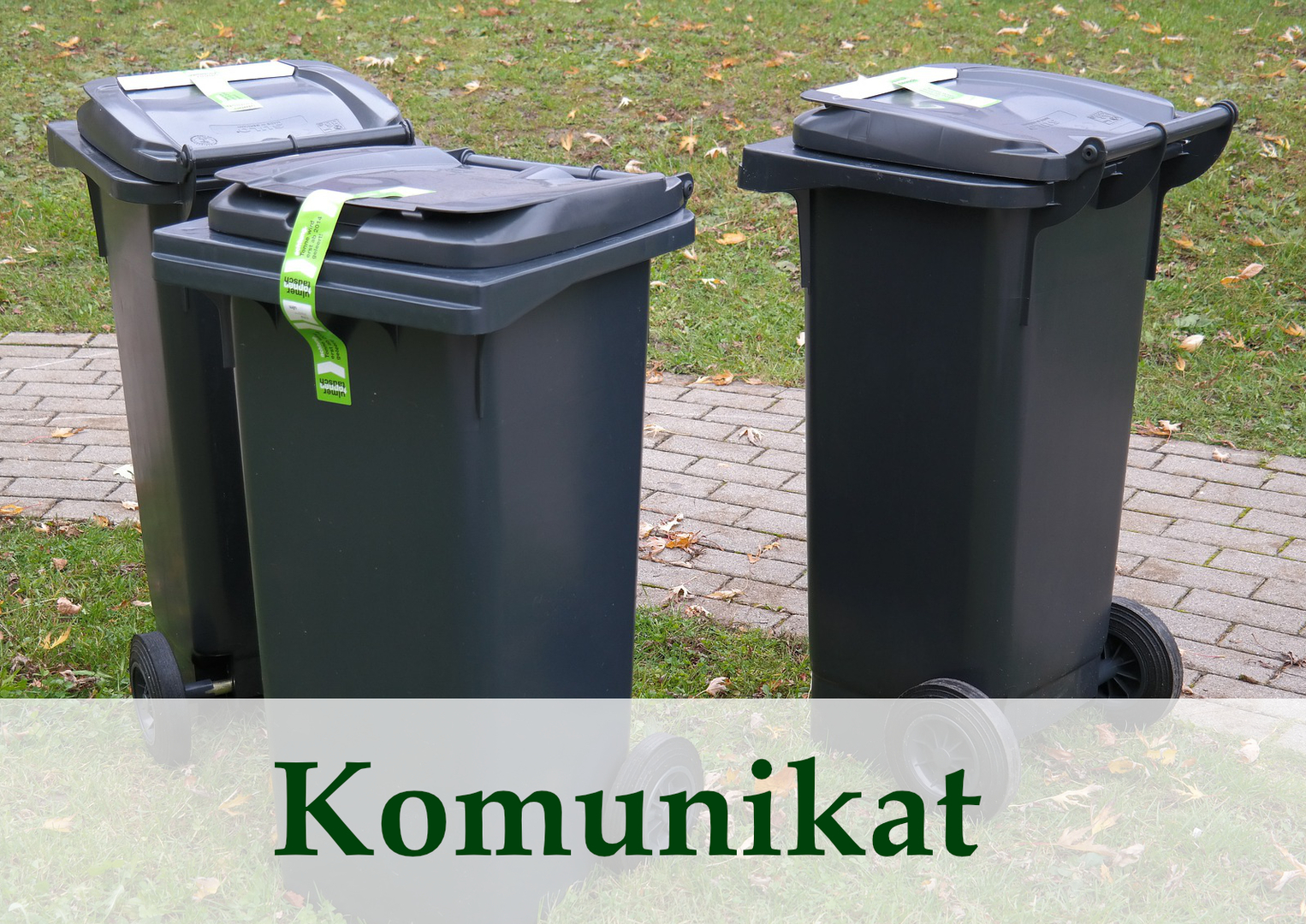 Zdjęcie przedstawiające kosze na śmieci 