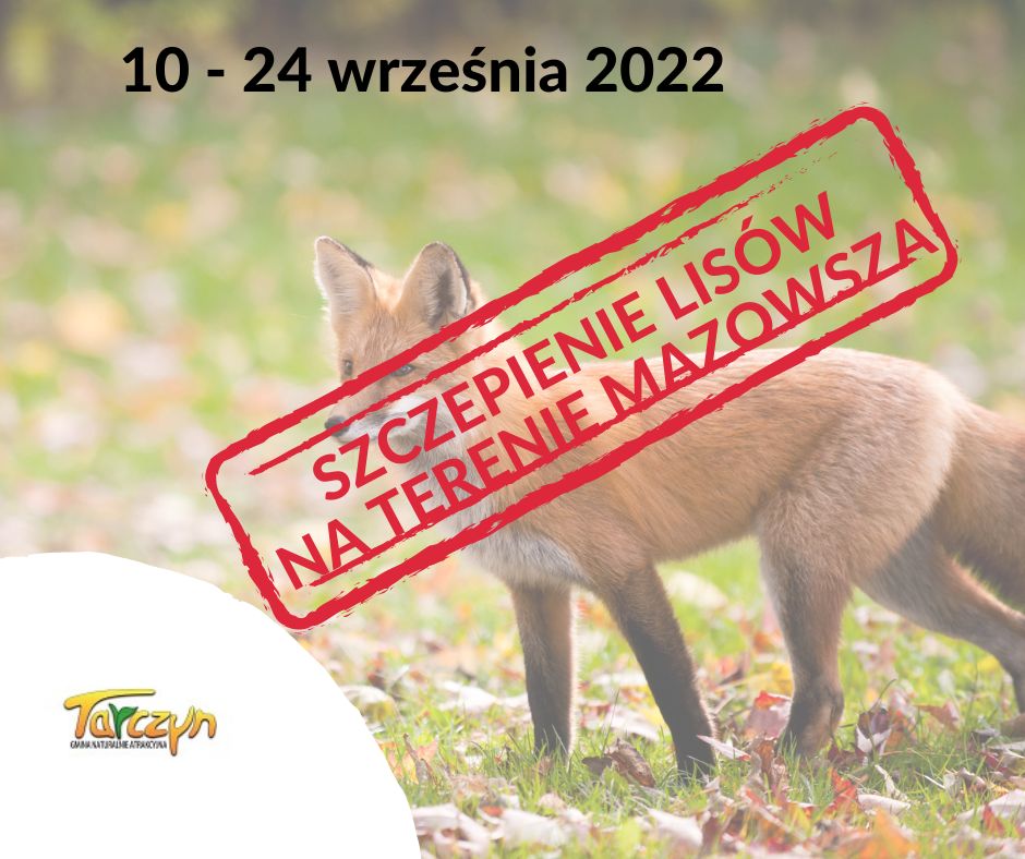 szczepienie przeciwko wściekliźnie lisów