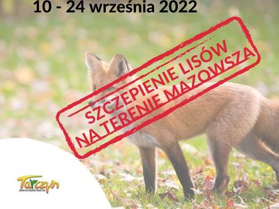 szczepienie przeciwko wściekliźnie lisów