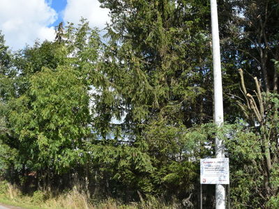 lampa energooszczędna