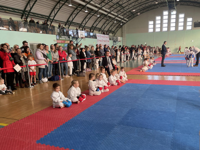 Turniej karate