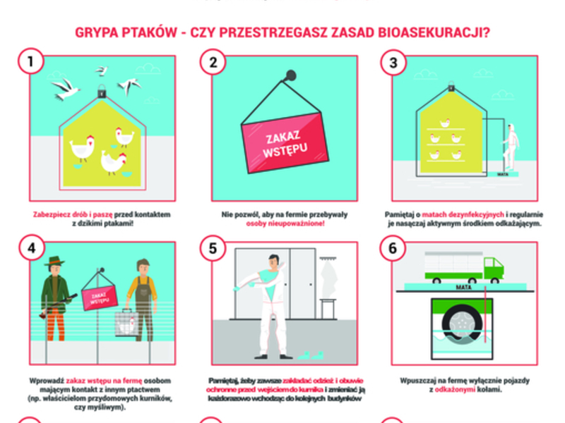 Ulotka przedstawiająca zasady bioasekuracji przy grypie ptaków