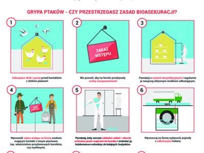 Ulotka przedstawiająca zasady bioasekuracji przy grypie ptaków