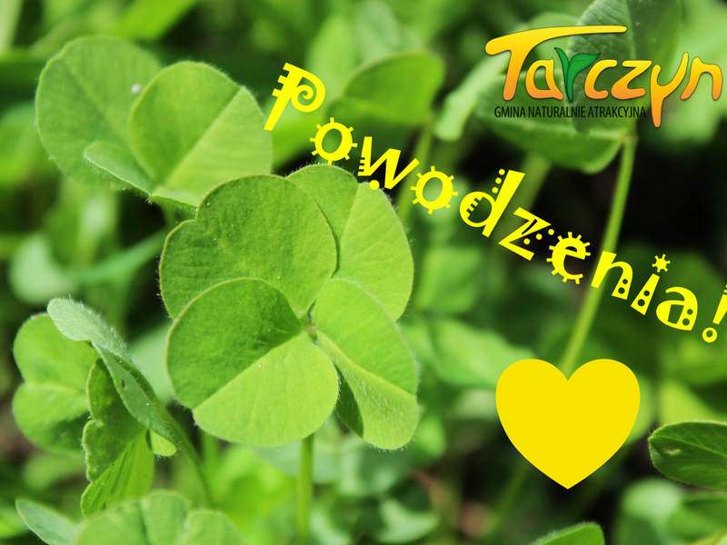 Zdjęcie przedstawia czterolistną koniczynę wraz z logotypem Tarczyna i tekstem powodzenia