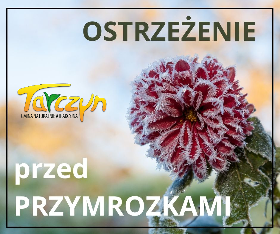 Baner ostrzeżenie przed przymrozkami