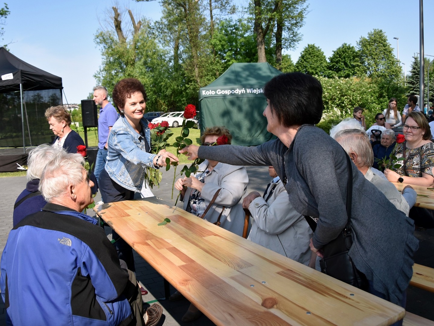 Zdjęcie przedstawia Burmistrz Tarczyna rozdającą róże