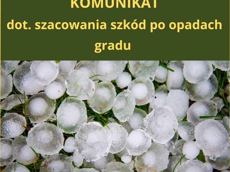 Zdjęcie przedstawia grad leżący na trawie