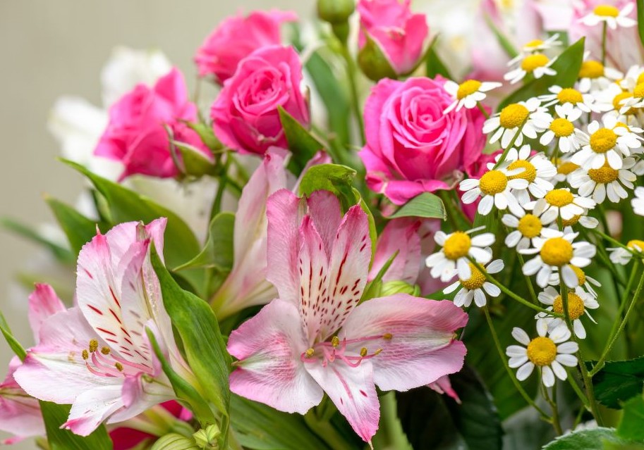 Zdjęcie przedstawia kwiaty