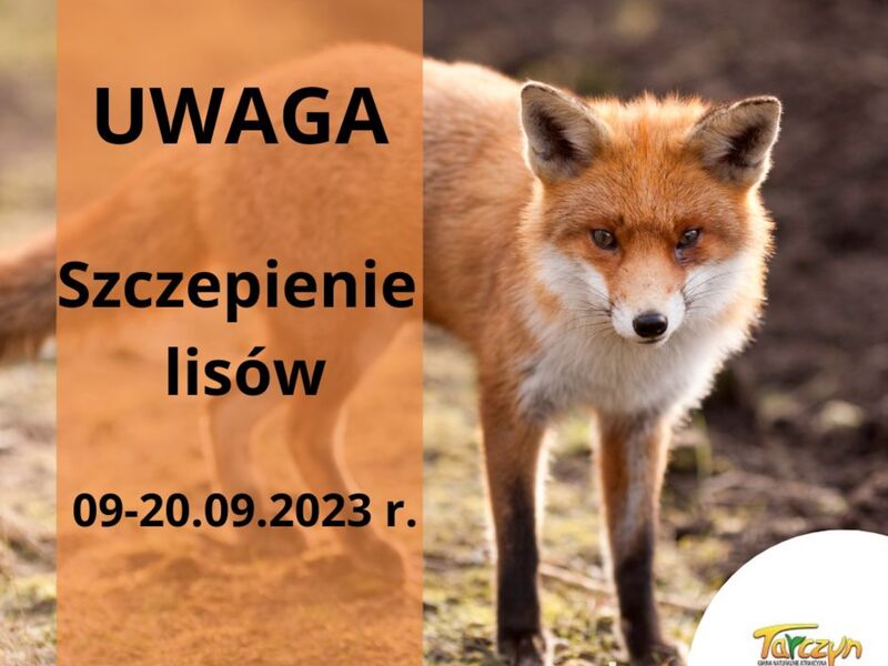 informacja o akcji szczepienia lisów