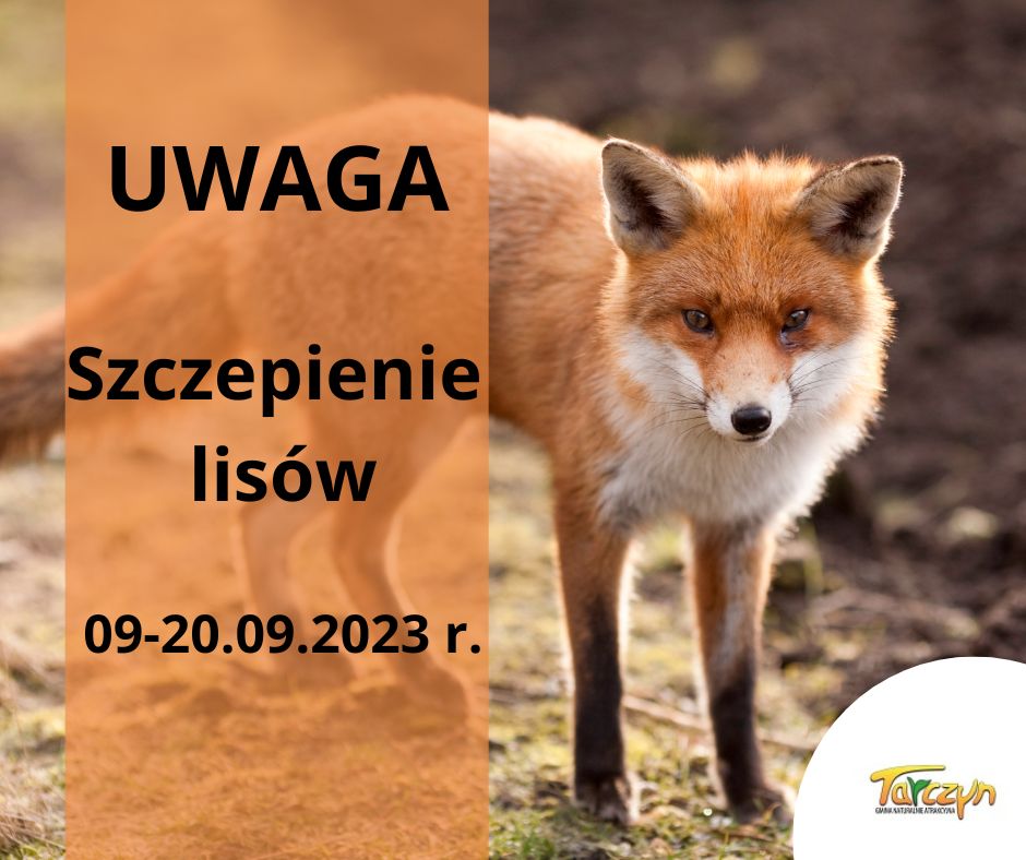 informacja o akcji szczepienia lisów