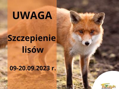 informacja o akcji szczepienia lisów