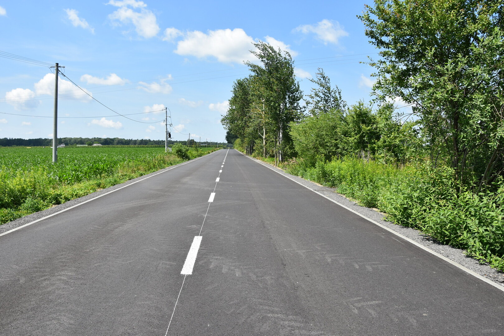 Zdjęcie przedstawia drogę asfaltową 