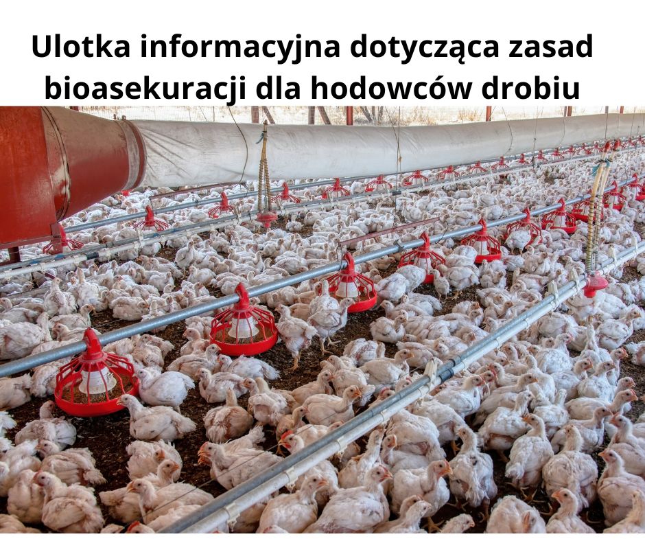 ferma drobiu
