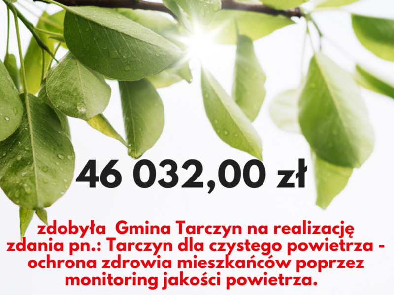 Zdjęcie przedstawia zieloną gałązkę z liśćmi