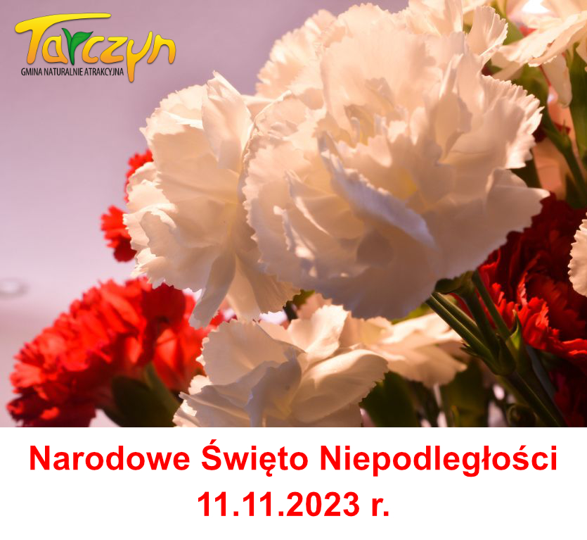 zdjęcie przedstawia bukiet biało-czerwonych goździków