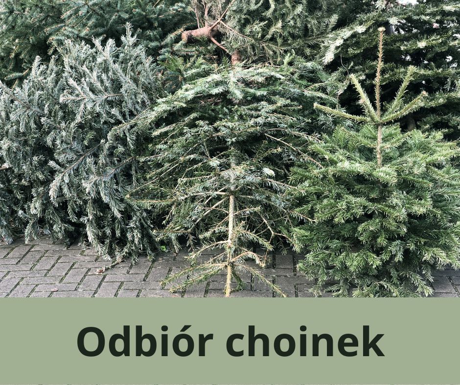 Baner dot. odbioru choinek