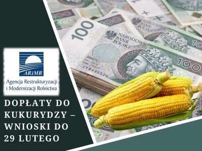 dopłaty do kukurydzy